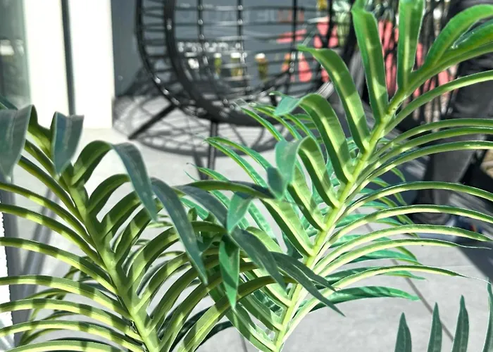 Blue Baltic Jacuzzi & Sauna Morze Chłopy